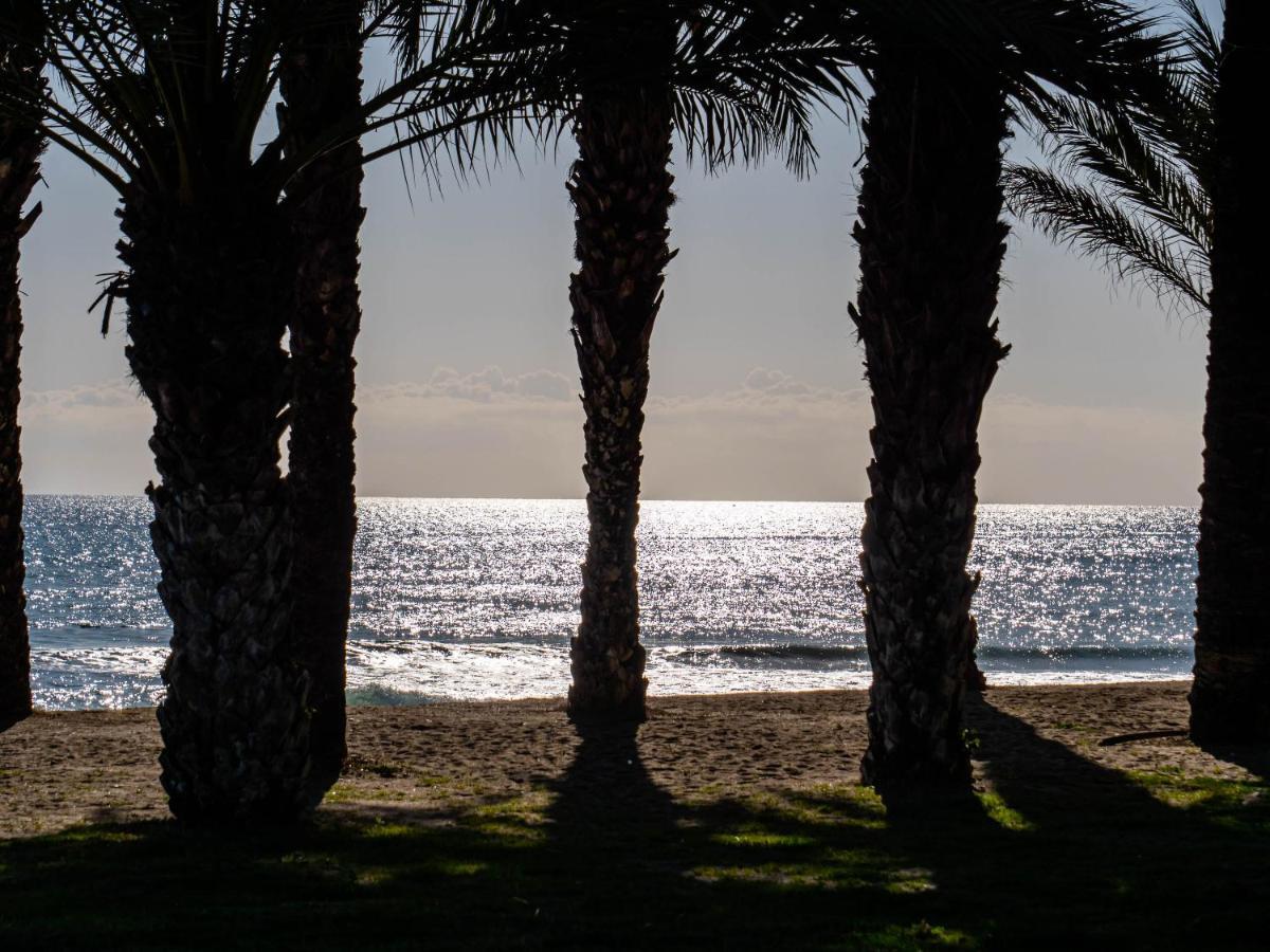 Appartement Palm - *